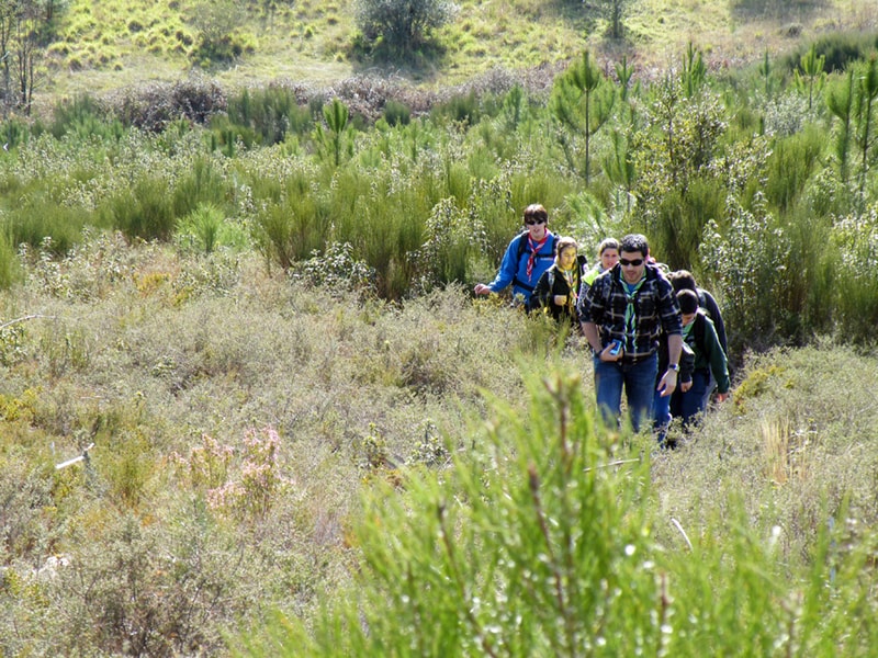 que-son-los-scouts-extremadura-foto-vision